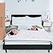 Modway Jenna 10” Innerspring and Memory Foam Queen Mattress With Individually Encased Coils
