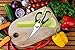 WISLIFE Kitchen Shear - Best Stainless Steel Kitchen Scissors for Poultry, Seafood, Scallop, Herb, Scissoring, Dishwasher Safe Culinary Scissors