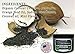 BIG HOUSE Teeth Whitening Charcoal Powder - Made in the USA With Coconut Activated Charcoal For Healthier And Stronger Teeth Without All The Chemicals, Strips, and Kits.