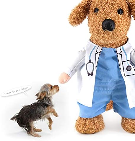 WORDERFUL Hunde-Piratenkostüm Für Halloween – Karibik-Style Für Kleine Hunde & Katzen, Größe XS