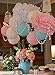 Gender Reveal Party Supplies Boy or Girl Baby Shower Decorations Baby Blue Pink White Gold Tissue Paper Pom Pom Paper Lanterns for Pink and Blue Decorations/Gender Reveal Party Decorations