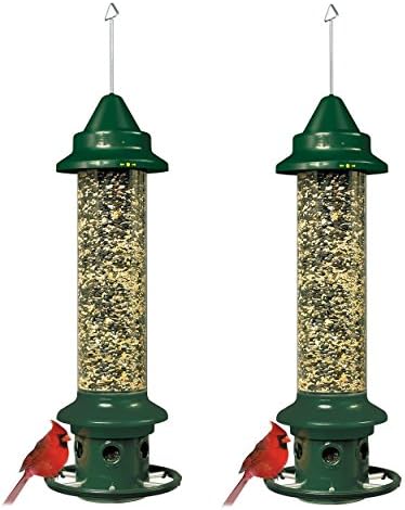 Brome Squirrel Buster Plus 6"x6"x28" (w/hanger) Wild Bird Feeder with Cardinal Ring and 6 Feeding Ports, 5.1lb Seed Capacity (Pack of 2)