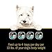 CESAR SAVORY DELIGHTS Pork Tenderloin, Roasted Potatoes & Green Beans Dog Food Trays (24), 3.5 oz. Trays