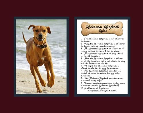 McDarlins Calligraphy Rhodesian Ridgeback Dog Rules Wall Decor Pet Dog Saying Gift