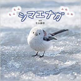 もふもふふわふわシマエナガ 吉永 勝啓 本 通販 Amazon もふもふふわふわシマエナガ 吉永 勝啓 本 通販 Amazon