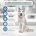 Healex 10 Tablets Large Dog (25+ LBS) Intestinal Cleanse | Dog Dewormer Alternative | Cleansing Tablets for Dogs, Promotes Intestinal Health | 10 Tablets, Works for Puppies | Helpful E-Book Included