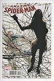 Amazing Spiderman #4 Silk Variant Cover