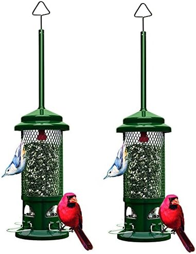 Squirrel Buster Standard 5"x5"x21.5" (w/hanger) Wild Bird Feeder with 4 Metal Perches, 1.3lb Seed Capacity (.2-Pack)