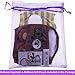 Bolbove Cute 2pcs Male Puppy Belly Band for Small Boy Dogs Incontinence Problems/Training (Bear + Bee, Large)