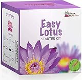 Grow Buddha Lotus Kit – Complete Beginner Seed Starter Kit with Vase & view 5