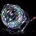 Homeleo 10M 100LED Battery Powered LED String Lights w/ Remote Mini Tiny LED Lamps on Flexible Thin Silver Wire Blinking Twinkle Steady On LED Starry Fairy Lighting(Remote,Multi-color)