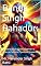 Livro Banda Singh Bahadur:: A Ascensão da Khalsa Eterna e a Guerra Contra a Opressão Imperial