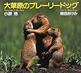 大草原のプレーリードッグ