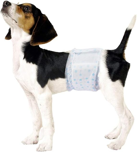 male wrap dog diapers