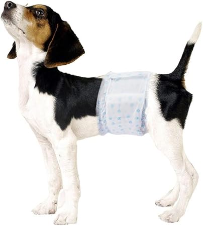 male dog diapers amazon