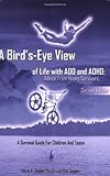 A Bird's-Eye View of Life with ADD and ADHD: Advice from young survivors