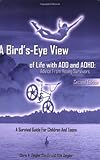 A Bird’s-Eye View of Life with ADD and ADHD: Advice from young survivors, Books Central