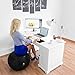 Exercise Ball Clearance Random 55cm / 65cm, Random Black / Blue Color - Fitness Desk Sitting Chair, Pregnancy Ball Anti-Burst, Yoga Workout Pilates Balance Gym Ball w/ Pump, Excersize Swiss Ball