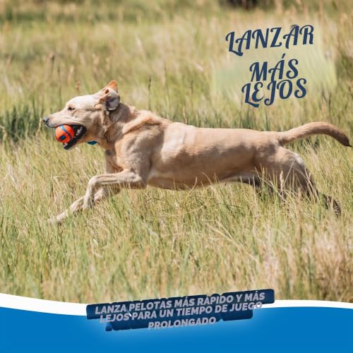 Chuckit! 231201 Ultra Tug Ball for Dogs, Launcher Compatible, M