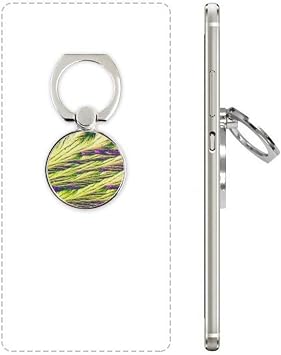 Diythinker Roseaux Cluster Plume Couleur Fond D Ecran De Telephone