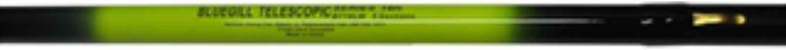 Hicks Bluegill Telescopic Fishing Pole (10 ft)