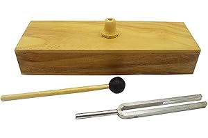 256Hz Tuning Fork for Acoustic Teaching Experiments + Wooden Resonance Box - Physics Experiment Supplies