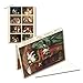 Cat Tales - Box Set of 12 Assorted Greeting Cards and Patterned Envelopes