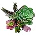 ELLIE ARTS Artificial Succulent Plants with Unpotted Faux Burros Tail and Echeveria for Terrariums and Home Office Decor (7 Pieces)