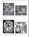 Head and Neck Imaging: Case Review Series