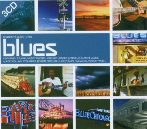 Beginner's Guide To The Blues