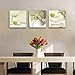 Wieco Art 3 Piece Floral Giclee Canvas Prints Wall Art Elegant Life Pictures Paintings for Living Room Kitchen Bathroom Home Decor Large Modern Gallery Wrapped Contemporary Pretty Flowers Artwork L