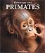 Hommage aux primates by