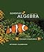 Elementary Algebra: Concepts and Applications (8th Edition)