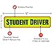 Signs Authority Student Driver Bumper Magnet for New Drivers, Novice or Beginner. Reusable Unlike a Decal or Bumper Sticker. Reflective Magnetic Large Bold Visible Text (Student Driver 6 Pack)
