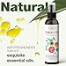 The Crown Choice Air Freshener Spray (2 Pack) – Citrus Non-Toxic Air Freshener for Home – Natural Essential Oil Spray and Odor Eliminator – Citrusy Refreshing Deodorizer for Home, Toilet, Room and Lounge (4oz)