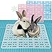 RUBYHOME 2 Pcs Rabbit Feet Pad Plastic Bunny Cage Floor Mat Foot Resting Hole Leak Water Nest Mat for Pet Small Animal Hamster Rat Chinchilla Guinea Pig Cats Dogs (Blue)