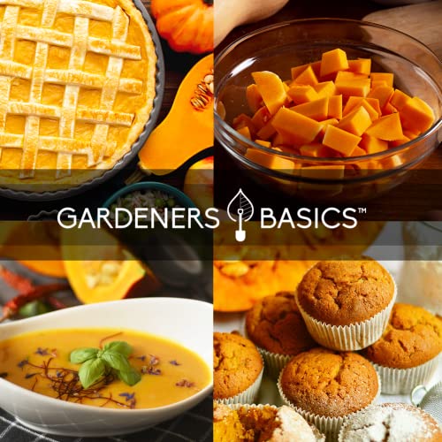 Pumpkin Seeds to Plant 5 Variety Baby Boo, Giant Big Max, Jack Be