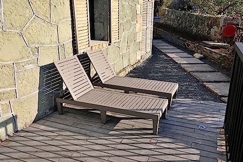 Nice C Lounge Chair, Pool Patio Lounge Chair, Outdoor Resin Sun Chaise Lounge, 5-Reclining Level Patio Composite Plastic Lounger, Waterproof Wood Texture Design, Up to 330 lbs (2 Pack)