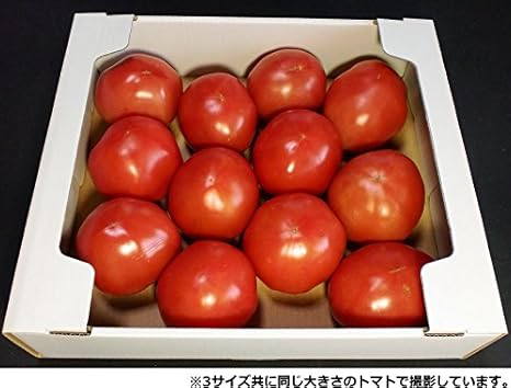 100枚セット トマト ダンボール箱 出荷箱 段ボール箱 (1.5k〜2k用) 青果物用 トマト専用 野菜