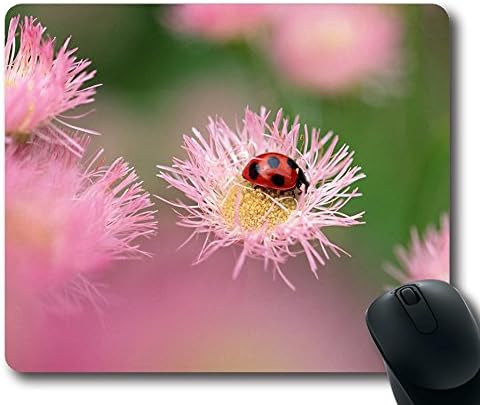 Ladybug On A Pink Flower Gaming Mouse Pad Personalized Hot Oblong Shaped Mouse Mat Design Natural Eco Rubber Durable Computer Desk Stationery Accessories Mouse Pads For Gift - Support Wired Wireless or Bluetooth Mouse