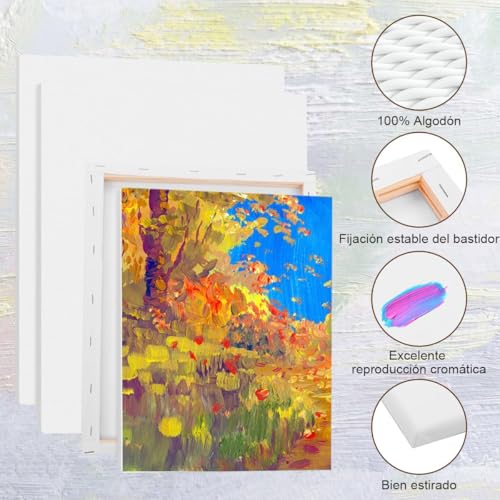 CHENGBAO Juego de 10 piezas lienzo para pintar，5 tamaños diferentes lienzos para pintar，Para acrílicos, pinturas al óleo, acuarelas lienzos