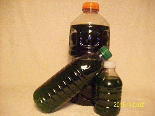 PHYTOPLANKTON DELUXE 16.9 oz. Nannochloropsis Phytoplankton