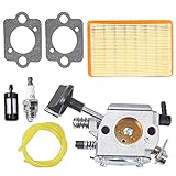 Carburetor for Stihl BR320 BR340 BR380 BR400 BR420 Replaces Walbro HD-4A HD-4B HD-13B Carburetor 4203-120-0603 4203-120-0605 Backpack Blower Carb with Air Filter Fuel Line Kit
