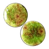 Pair - Pistachio Green Glass Essential Oil Ear Plugs Organic Handmade Ceramic double-flared body jewelry
