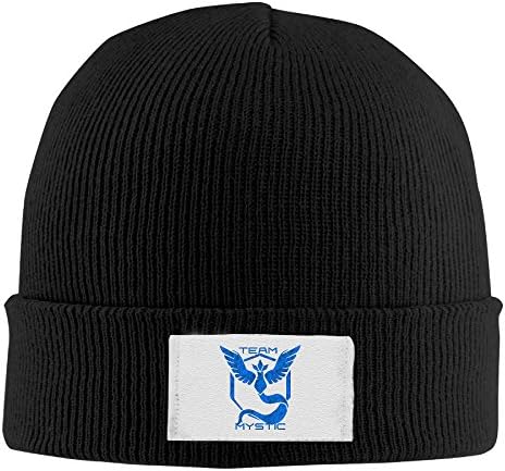 Woolen Team Mystic Pokemon Go Slouchy Beanie