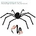 HOTSAN Giant Halloween Spider 50