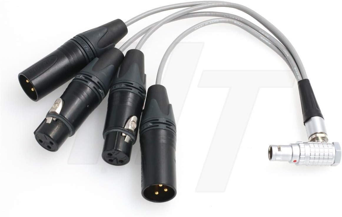 Right Angle 10 Pin to XLR 3 Pin Breakout Audio Record Cable for Shogun Inferno Ninja Inferno, Shogun Flame, Shogun Monitor (IO-R10pin)