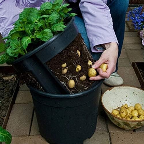 Plástico Siembra Macetas con Drenaje Vivero Tomates en Maceta ...
