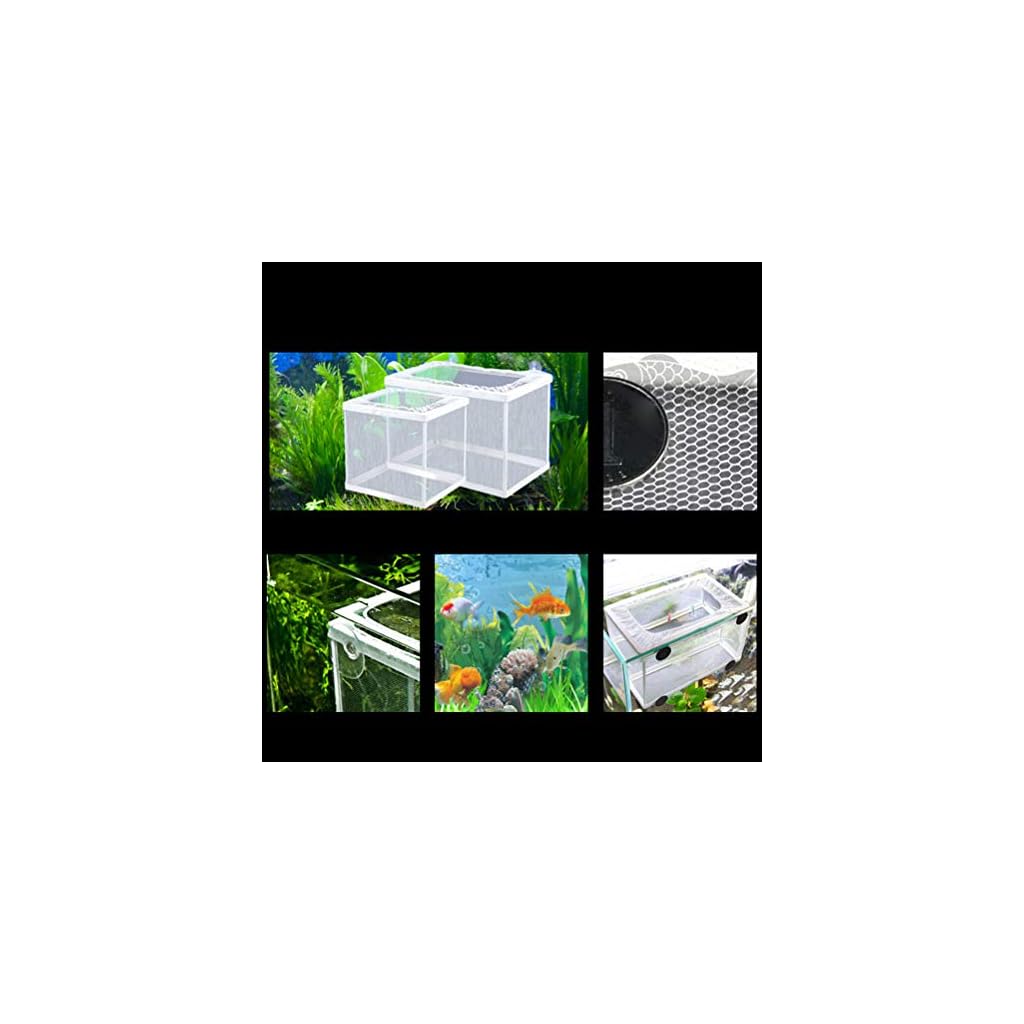 POPETPOP Fish Breeder Net Fish Nursery for Aquarium Hang on Breeder