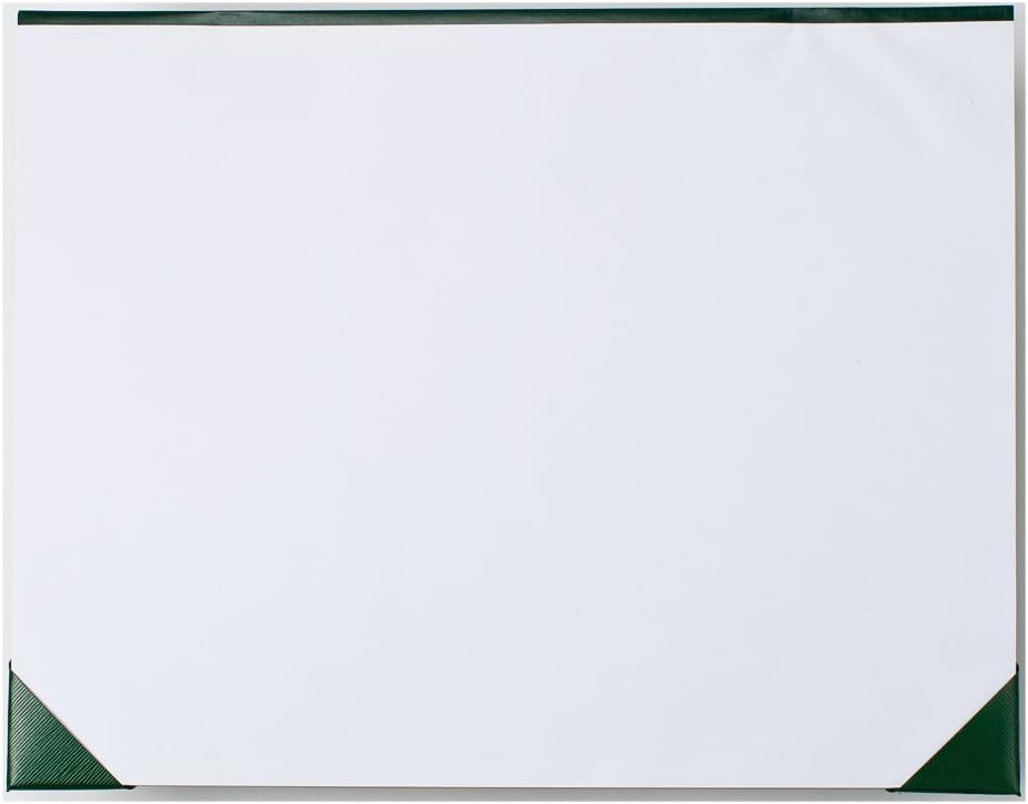 Blueline Ecologix Plain Desk Pad, 21.75 x 17 inches, 50 Pages (A181724UE) : Agenda Pads : Office Products